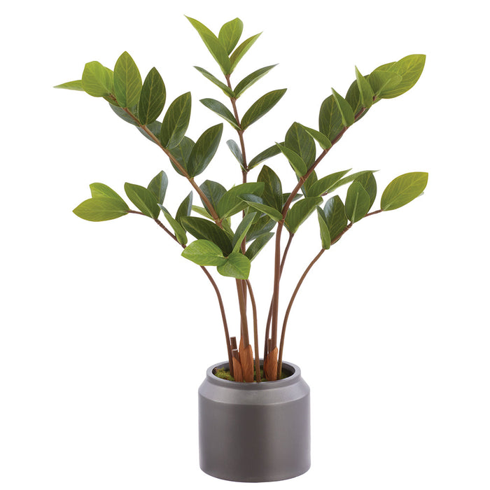 23.5" Zanzibar Gem Zamioculcas Succulent Artificial Plant w/Polyresin Pot -Green (Pack of 2) - LPZ829-GR