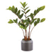 23.5" Zanzibar Gem Zamioculcas Succulent Artificial Plant w/Polyresin Pot -Green (Pack of 2) - LPZ829-GR