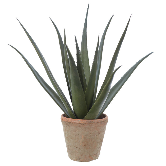 24" Agave Artificial Plant w/Clay Pot -Green (Pack of 2) - LQA002-GR