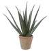 24" Agave Artificial Plant w/Clay Pot -Green (Pack of 2) - LQA002-GR