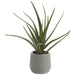 12" Aloe Artificial Plant w/Plastic Pot -Green (Pack of 6) - LQA600-GR