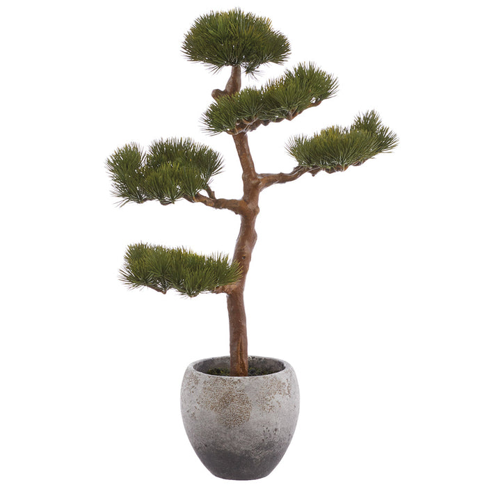 19" Black Pine Artificial Bonsai Tree w/Cement Planter -Green (Pack of 2) - LQB448-GR