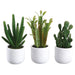 9" Set Of Assorted Cactus Artificial Plants w/Cement Pot -Green (Pack of 2) - LQC345-GR