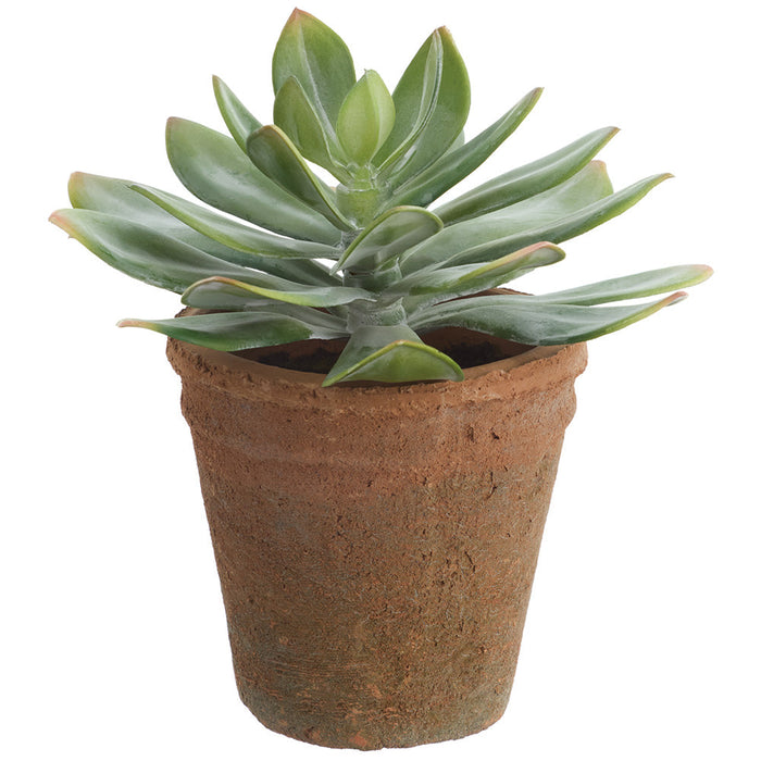 9" Echeveria Succulent Artificial Plant w/Clay Pot -Green/Gray (Pack of 4) - LQE001-GR/GY