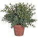 10.5" Silk Eucalyptus Leaf Plant w/Plastic Pot -Green (pack of 6) - LQE146-GR