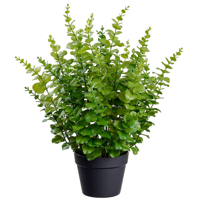 24" Eucalyptus Leaf Silk Plant w/Plastic Pot -2 Tone Green - LQE480-GR/TT