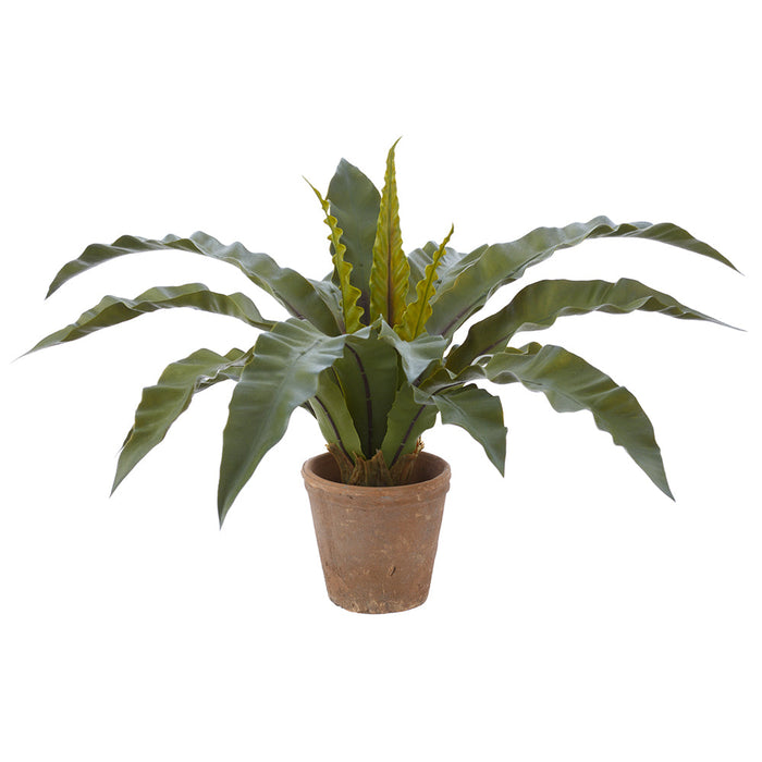 19" PE Soft-Touch Bird's Nest Fern Artificial Plant w/Clay Pot -Green (Pack of 2) - LQF006-GR