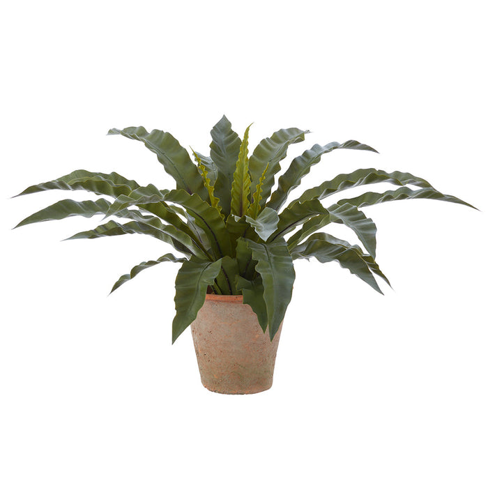 24" PE Soft-Touch Bird's Nest Fern Artificial Plant w/Clay Pot -Green (Pack of 2) - LQF008-GR