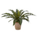 24" PE Soft-Touch Bird's Nest Fern Artificial Plant w/Clay Pot -Green (Pack of 2) - LQF008-GR