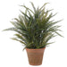 41" Boston Fern Silk Plant w/Clay Pot -Green - LQF017-GR