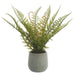 14" PE Leather Fern Artificial Plant w/Plastic Pot -Green (Pack of 6) - LQF024-GR