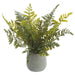 11" PE Fern Artificial Plant w/Plastic Pot -Green (Pack of 6) - LQF025-GR