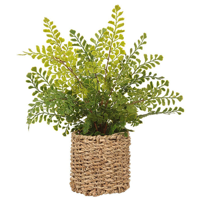15" Maidenhair Fern Leaf Silk Plant w/Basket -Green (Pack of 6) - LQF027-GR