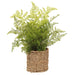 15" Leather Fern Leaf Silk Plant w/Basket -Green (Pack of 6) - LQF029-GR