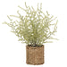 16" Asparagus Ming Fern Leaf Silk Plant w/Basket -Green/Gray (pack of 6) - LQF031-GR/GY