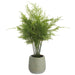 20" Lace Fern Artificial Plant w/Plastic Pot -Green (Pack of 4) - LQF048-GR