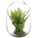 10" Boston Fern Artificial Plant w/Glass Terrarium -Green (Pack of 4) - LQF051-GR