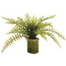 14" Boston Fern Artificial Plant w/Basket -Green (Pack of 6) - LQF060-GR