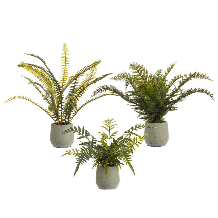 16" Set Of Artificial Fern Plants w/Plastic Pots -Green (Pack of 2) - LQF148-GR