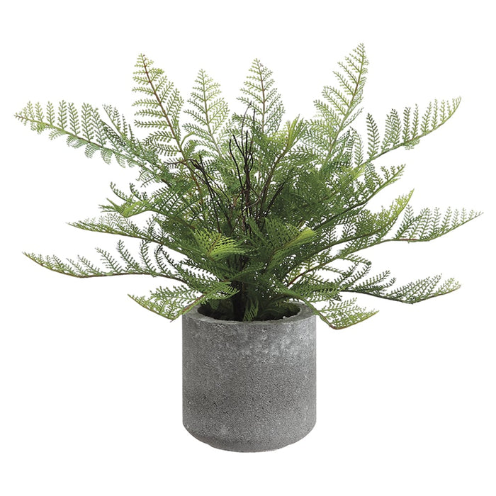 15" Lace Fern Silk Plant w/Cement Pot -Green (pack of 4) - LQF172-GR