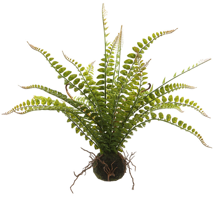 19" Silk Fern Leaf Plant w/Soil Ball -Green (pack of 6) - LQF206-GR