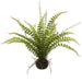 19" Silk Fern Leaf Plant w/Soil Ball -Green (pack of 6) - LQF206-GR