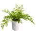 10.5" Artificial Maidenhair Fern Plant w/Magnesium Oxide Pot -Green (pack of 4) - LQF231-GR