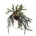 28" PE Staghorn Fern Artificial Plant w/Hanging Soil & Moss Basket -Green/Gray (Pack of 4) - LQF251-GR/GY