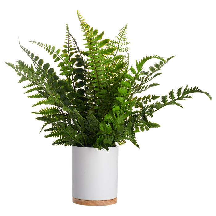 13.5" Mixed Silk Fern Leaf Plant w/Ceramic Pot -Green (pack of 2) - LQF354-GR