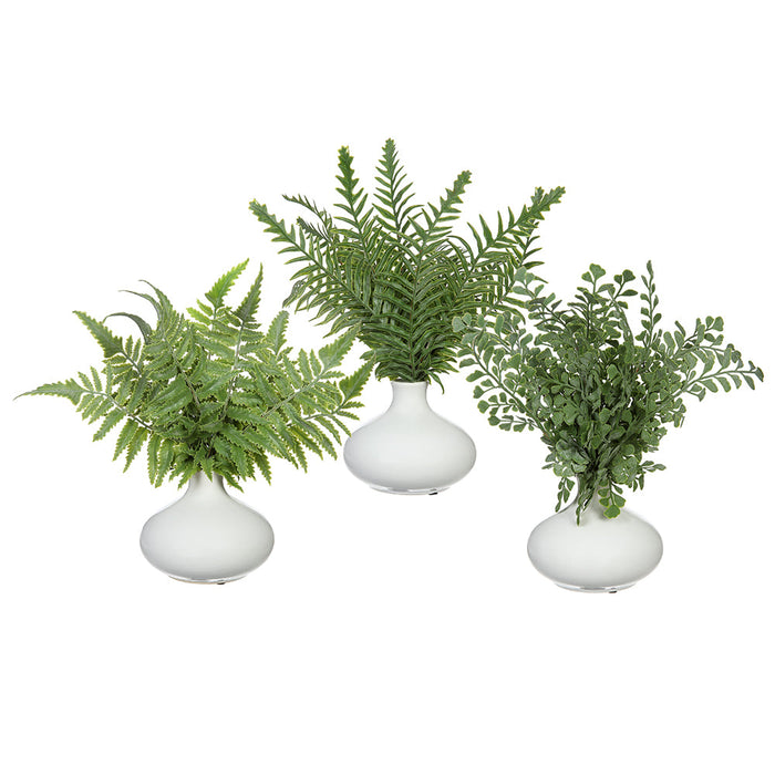 11.5" Set Of Ferns Artificial Plant w/Ceramic Vase -Green (Pack of 2) - LQF367-GR