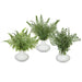 11.5" Set Of Ferns Artificial Plant w/Ceramic Vase -Green (Pack of 2) - LQF367-GR