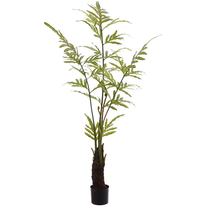 5' Java Fern Artificial Tree w/Plastic Pot -Green (Pack of 2) - LQF377-GR