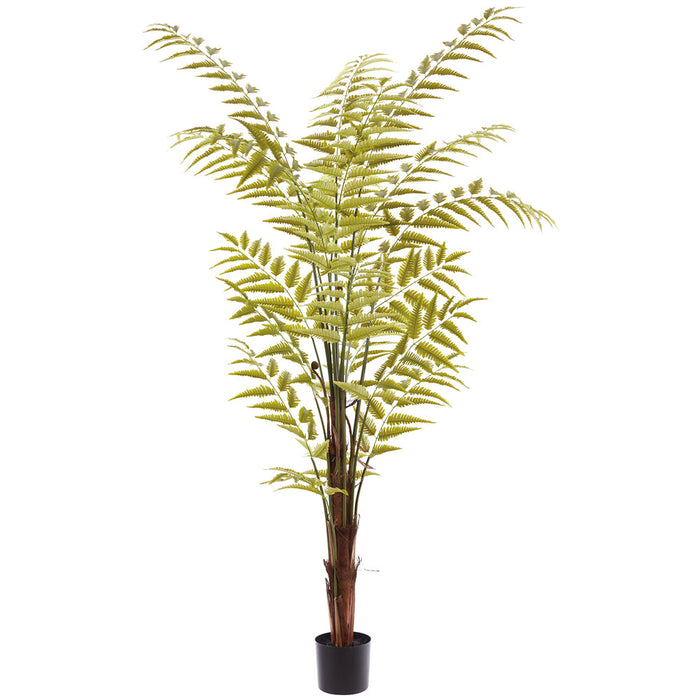 8' Leather Fern Artificial Tree w/Plastic Pot -Green - LQF380-GR