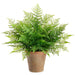 29" Outdoor UV-Resistant Artificial Leather Fern Plant w/Clay Pot -Green (Pack of 2) - LQF413-GR