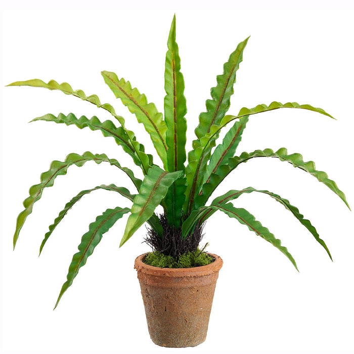 21" Outdoor UV-Resistant Artificial Bird's Nest Fern Plant w/Clay Pot -Green (Pack of 4) - LQF428-GR