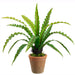 21" Outdoor UV-Resistant Artificial Bird's Nest Fern Plant w/Clay Pot -Green (Pack of 4) - LQF428-GR