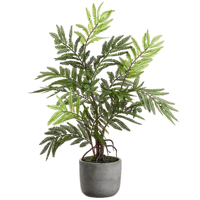 18" Australian Tree Fern Leaf w/Cement Pot -Green (Pack of 6) - LQF484-GR