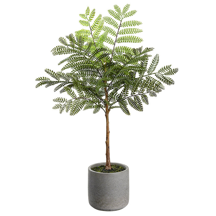 24" Jacaranda Fern Leaf Silk Tree w/Cement Pot -Green (Pack of 4) - LQF486-GR