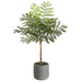 24" Jacaranda Fern Leaf Silk Tree w/Cement Pot -Green (Pack of 4) - LQF486-GR
