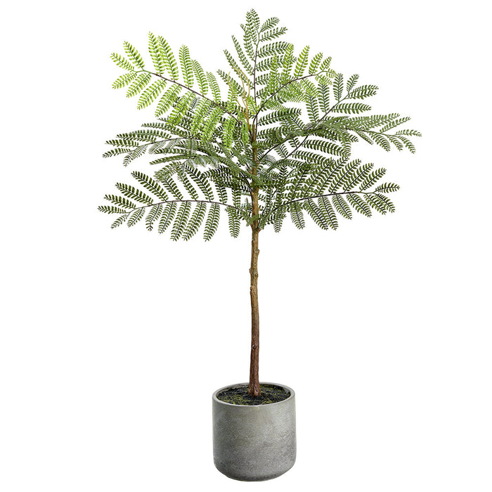 31.5" Jacaranda Fern Leaf Silk Tree w/Cement Pot -Green (Pack of 2) - LQF487-GR