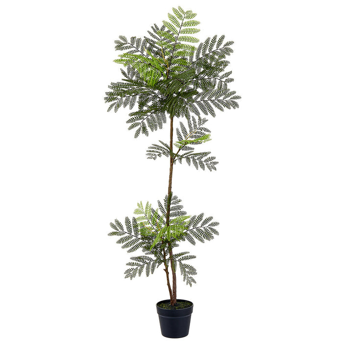 51" Jacaranda Fern Leaf Silk Tree w/Plastic Pot -Green (Pack of 2) - LQF488-GR