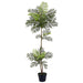 51" Jacaranda Fern Leaf Silk Tree w/Plastic Pot -Green (Pack of 2) - LQF488-GR