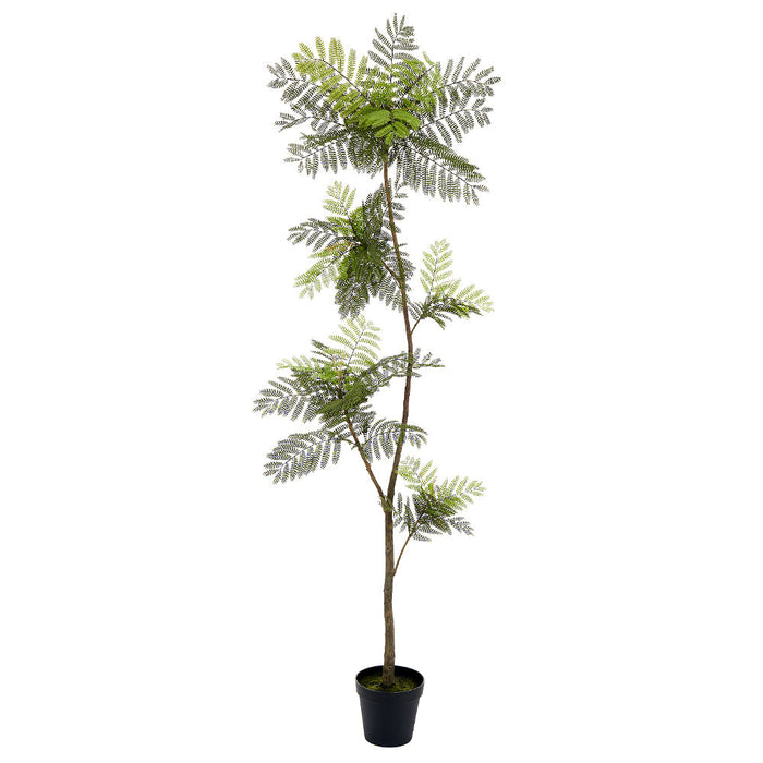 84" Jacaranda Fern Leaf Silk Tree w/Plastic Pot -Green - LQF489-GR