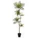 84" Jacaranda Fern Leaf Silk Tree w/Plastic Pot -Green - LQF489-GR