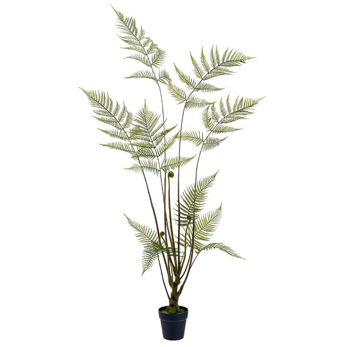 58" Woolly Fern Leaf Silk Plant w/Plastic Pot -Green (Pack of 2) - LQF499-GR