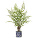 22" Forest Fern Leaf Artificial Plant w/Ceramic Vase -Green (pack of 2) - LQF532-GR