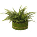 12" Leather Fern Leaf Silk Plant w/Tube Planter -Green (Pack of 2) - LQF553-GR