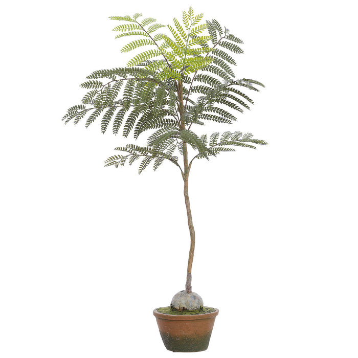 30" Jacaranda Fern Leaf Silk Tree w/Cement Pot -Green (Pack of 2) - LQF676-GR