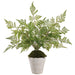 16" PE Lace Fern Artificial Plant w/Cement Pot -Green (Pack of 2) - LQF718-GR