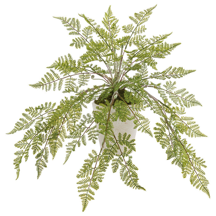 20" PE Lace Fern Artificial Plant w/Cement Pot -Green (Pack of 2) - LQF719-GR